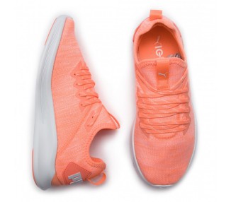 PUMA Ignite Flash EvoKnit Wn's 190511-15