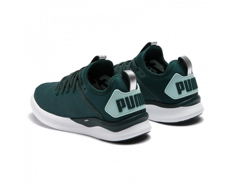 Puma ignite flash evoknit sr wn's hotsell