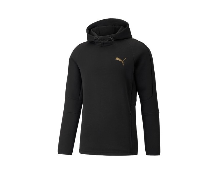Bluza męska PUMA Evostripe 589422-51