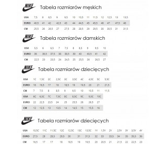 Buty damskie NIKE Downshifter CW3413-502