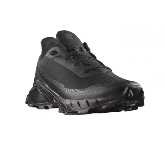 Buty męskie Salomon Alpha 5 L47313100