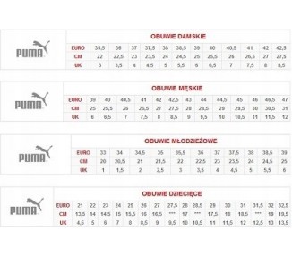Buty Męskie Puma RBD GAME 387604-07