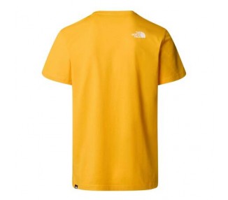 Koszulka męska The North Face T-shirt NF0A87NG56P | Butys.pl