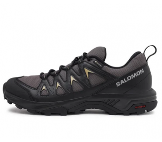 Buty męskie Salomon X Braze GTX L47180500 trekkingowe | Butys.pl