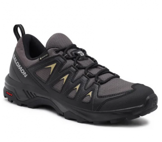 Buty męskie Salomon X Braze GTX L47180500 trekkingowe | Butys.pl