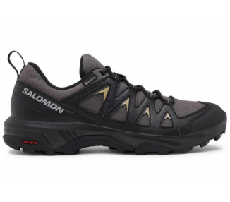 Buty męskie Salomon X Braze GTX L47180500 trekkingowe | Butys.pl