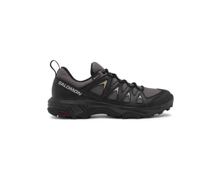 Buty męskie Salomon X Braze GTX L47180500 trekkingowe | Butys.pl