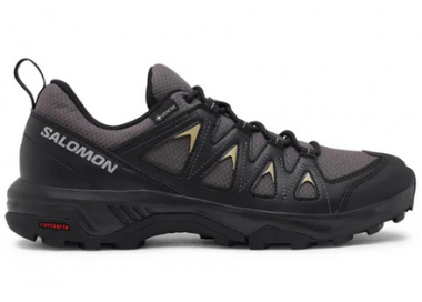 Buty męskie Salomon X Braze GTX L47180500 trekkingowe | Butys.pl