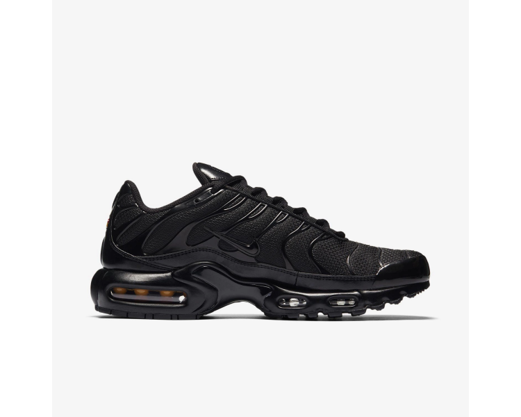 Buty Męskie Nike Air Max Plus 604133-050